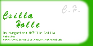 csilla holle business card